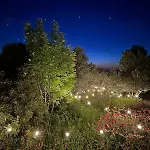 Luxe tent Glamping San Bart *