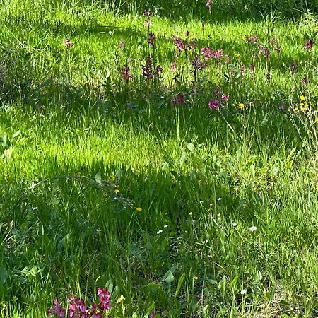 Glamping San Bart * 圣温琴佐