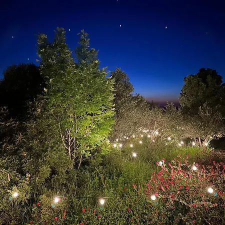 Campismo de Luxo Glamping San Bart *